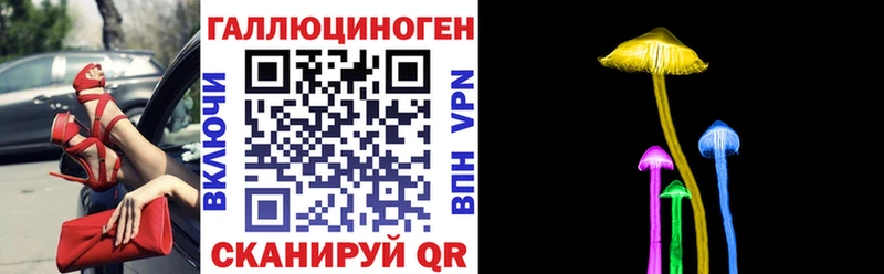 blacksprut ссылки Краснокамск Галлюциногенные грибы прущие грибы